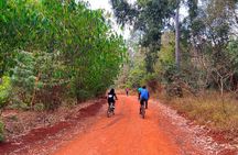 Karura Forest Nature Trail