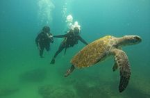 Scuba Diving at Cabo Pulmo National Park for 2 Divers !