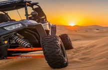 1-Hour Desert Buggy Self-Drive Adventure: Camel Ride & Sandboard