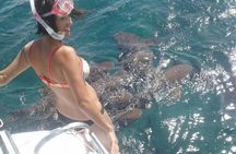 Private Hol Chan Morning or Sunset Half Day Charter
