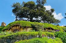  Small Group Hobbiton Movie Set from Tauranga