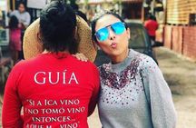 Full Day Tour in Lima Paracas Ica