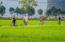Luxury Ninh Binh Day Tour to Tam Coc, Mua Cave & Bich Dong Pagoda