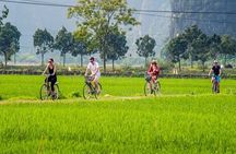 Ninh Binh Full Day Tour to Hoa Lu Tam Coc Mua Cave Buffet Lunch