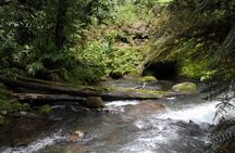 Combo tour Poas Volcano and La Paz waterfall and Coffee tour