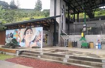 Combo tour Poas Volcano and La Paz waterfall and Coffee tour