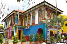 Singapore Little India Hidden Gems Walking Tour (Private & All-Inclusive)