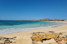 Tours in Boa Vista island