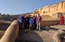 Full day Jaipur city Tour with Car, Driver and Guide