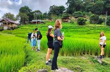 Chiang Mai: Doi Inthanon National Park, Waterfall & Royal Project