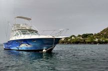 VIP Private Guided Scuba Diving/Snorkeling Excursion 