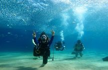 Non-Certified Diving Adventure in Cabo San Lucas