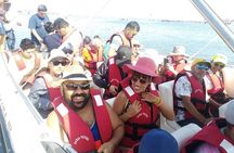 Full Day Islands Crossbows, Paracas and Oasis Huacachina in Ica
