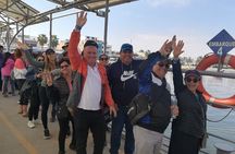 Full Day Islands Crossbows, Paracas and Oasis Huacachina in Ica