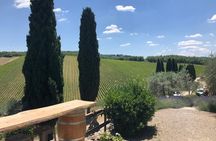 Visit Of The Chianti Classico And The Tuscan Countryside