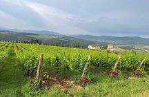 Visit Of The Chianti Classico And The Tuscan Countryside