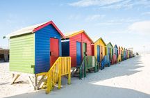 The Road Trip (Cape Point & Penguins) - Private Tour