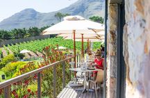 Cape Town Sights & Bites - Private Tour 