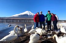Full Day Tour to Mount Fuji in Spanish