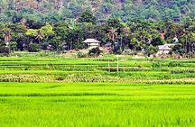 Real Vietnam Countryside Bicycle Tour & Enjoy Sunset On Wood Boat