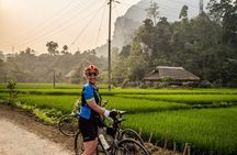 Real Vietnam Countryside Bicycle Tour & Enjoy Sunset On Wood Boat