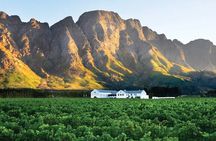  Franschhoek Wine Tram Hop-On Hop-Off Tour from Cape Town.