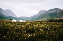  Franschhoek Wine Tram Hop-On Hop-Off Tour from Cape Town.