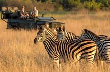 5-Day Private Garden Route From Cape Town & Addo National Park