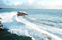 Speed Boat on Biscayne Bay and Double Decker tour 