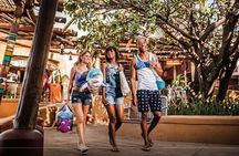 Half Day Durban City Tour