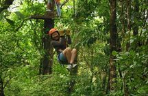 Canopy Tour in The Fabulous Hanging Bridges from San José