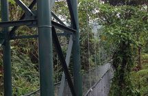 Canopy Tour in The Fabulous Hanging Bridges from San José