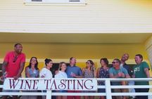 Santa Barbara/Santa Ynez Wine Tour (We Drive Your Vehicle)