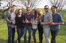 Santa Barbara/Santa Ynez Wine Tour (We Drive Your Vehicle)