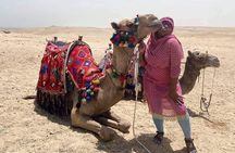 4 Hours Adventure To Giza Pyramids, Sphinx, Lunch & Camel 