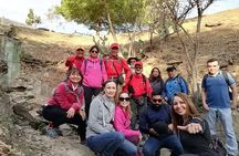 Pet friendly hiking in Cerro del Chupón