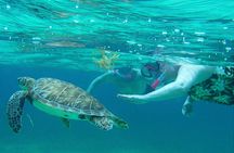 Private Hol Chan Morning or Sunset Half Day Charter