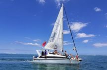 Mexico Rocks Day Sail Shared Guided Tour