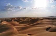 Desert Safari, Sunset & Sand Bashing (Rub Al Khali Desert)