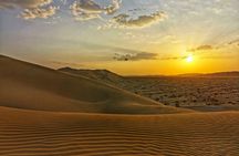Desert Safari, Sunset & Sand Bashing (Rub Al Khali Desert)