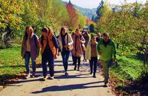 Castle Hiking Tour and Gourmet Adventures 