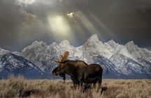 Grand Teton and Native American Petroglyph Tour