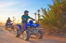 1/2 Day: Quad tour in the palm grove of Marrakech