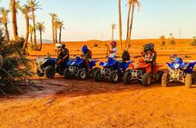 1/2 Day: Quad tour in the palm grove of Marrakech