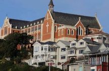 Wellington city heights sightseeing Private 5 hour tour