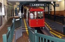 Wellington city heights sightseeing Private 5 hour tour