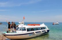 Cham Islands Snorkeling Tour by SpeedBoat from Da Nang