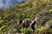 4 Day Table Mountain 13 Peaks Challenge