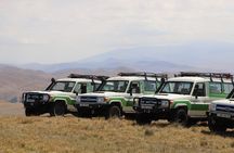 Limitless Off-Road Private Tours in Armenia