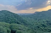 Jaipur Leopard Safari Tour at Jhalana Park